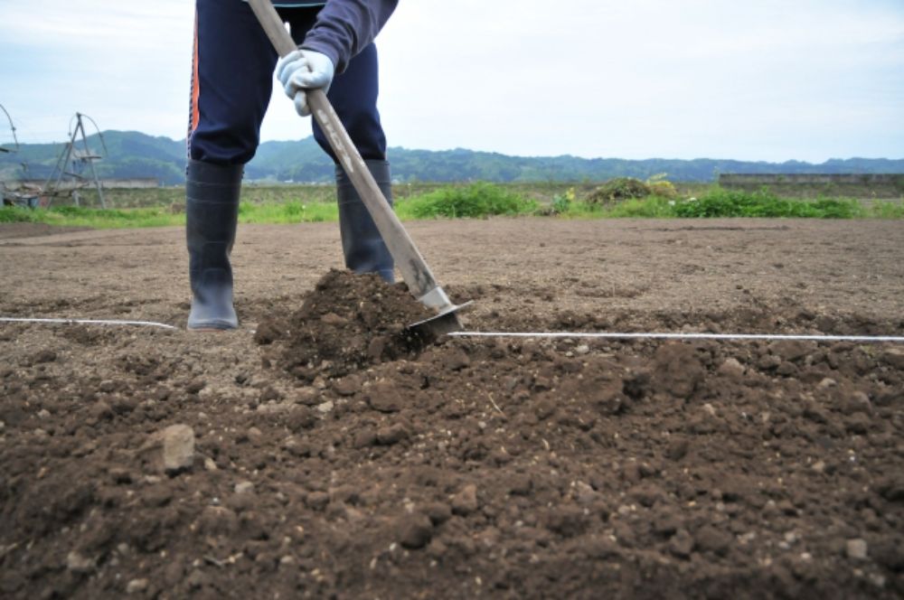 家庭菜園の土作りに必要なことは？事前準備の手順やおすすめ肥料を紹介 cozy life[コージーライフ]